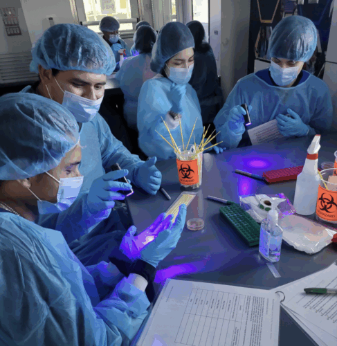 biopath at tmc students working in lab